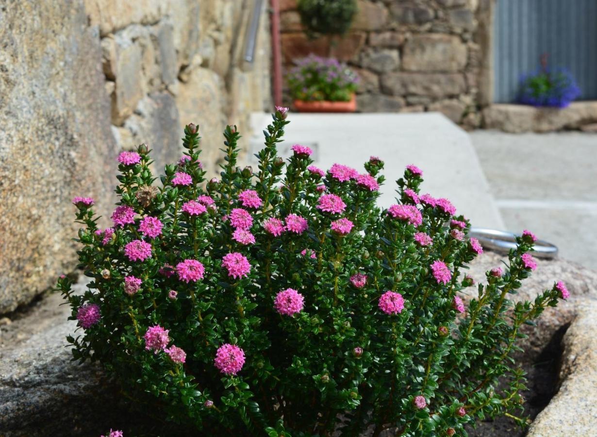Casa De Valente - Camarinas Villa Buitenkant foto